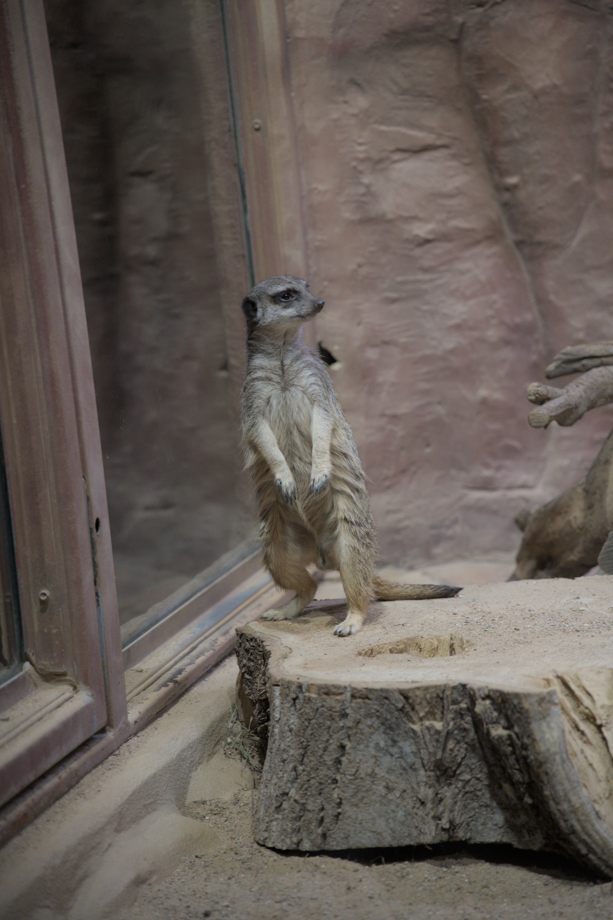 2025/10/12 - zoo/DSC_0329.jpg